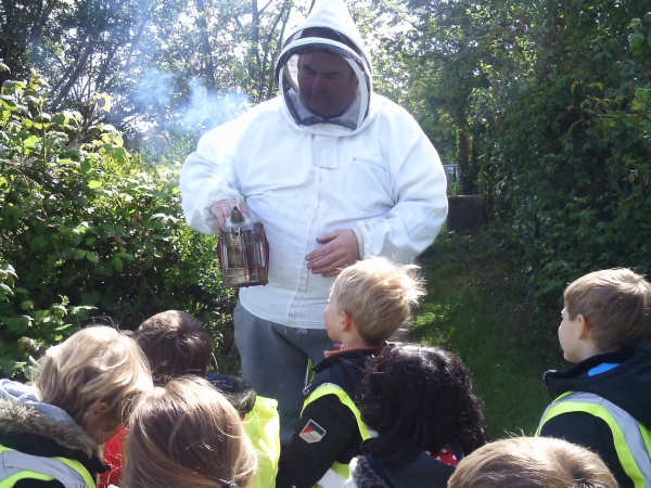 Album cover for Busy bees at the allotment