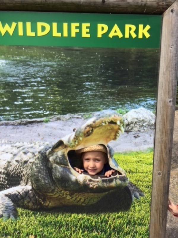 Album cover for Wingham Wildlife Park 2018